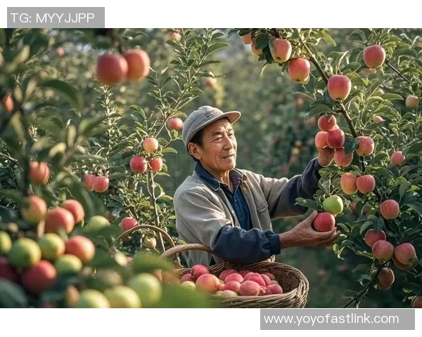 果园采摘乐趣：亲近大自然，享受丰收季节的甜美体验