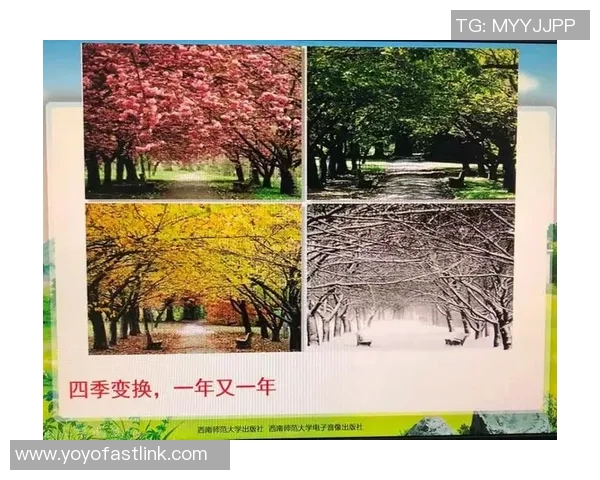 重庆排球队的转型之路：从传统到现代的排球纪实探索与反思