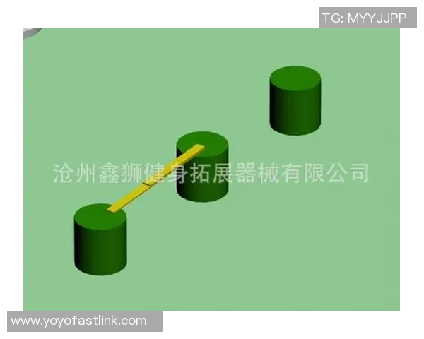 杭州极限运动队心理素质深度对比分析与启示